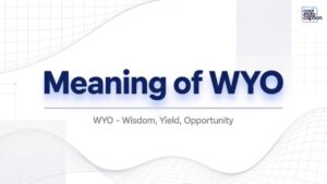WYO Meaning in Text