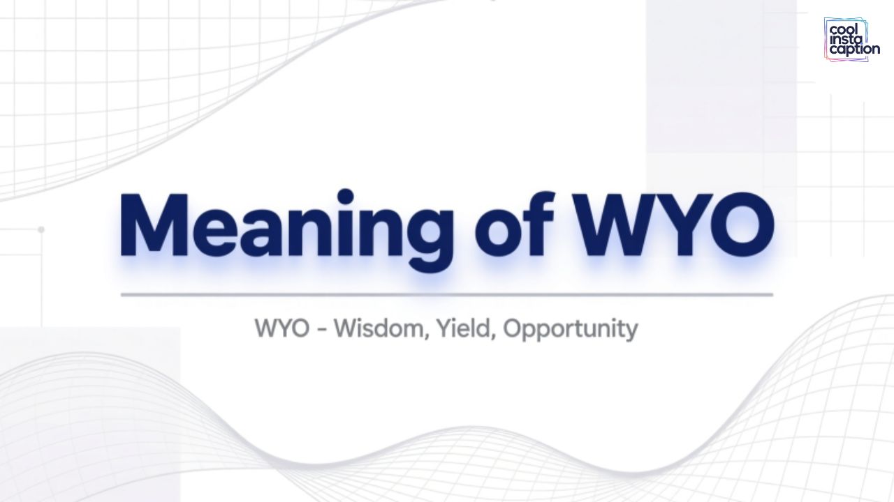 WYO Meaning in Text